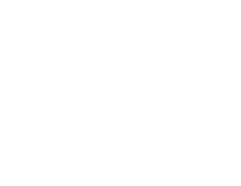 WILFER's 1619